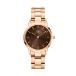 Daniel Wellington Iconic Link Amber 32mm