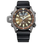 Citizen Aqualand Limited Brown