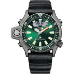 Citizen Aqualand Limited Green